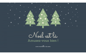 
			                        			Carte cadeau Noël